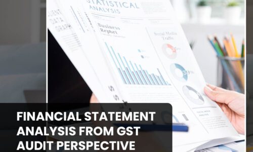 FINANCIAL STATEMENT ANALYSIS FROM GST AUDIT PERSPECTIVE – Video course